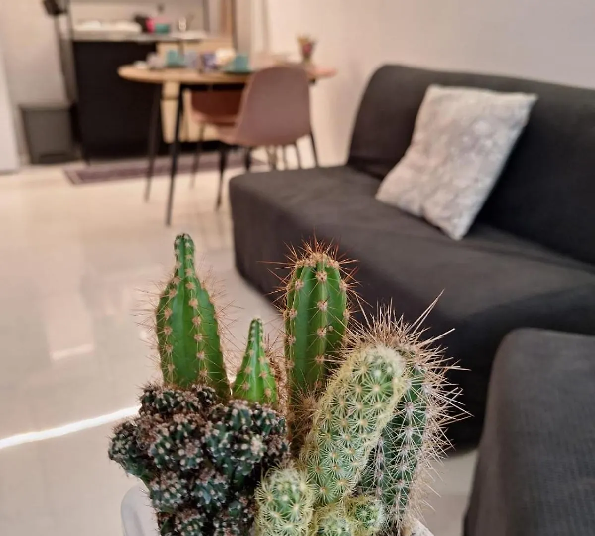 Casa Vacanze Domus Ai Mannesi Naples Apartment